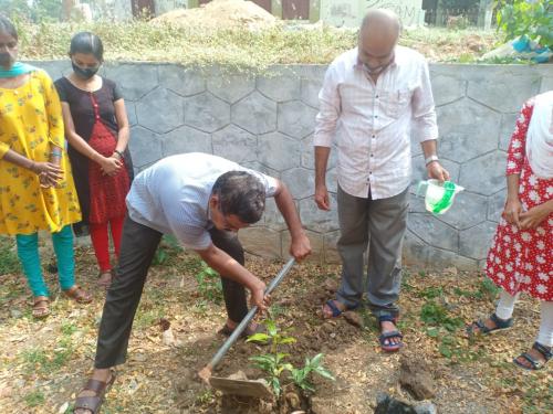 Planting a Fruit Garden